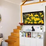 Sovanova W Gorach Sowich Z Tarasem I Widokiem * Kolce