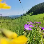 Holiday home Sovanova W Gorach Sowich Z Tarasem I Widokiem
