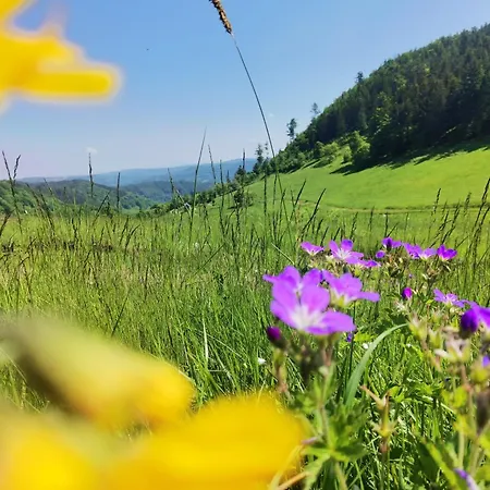 Ferienhaus Sovanova W Gorach Sowich Z Tarasem I Widokiem