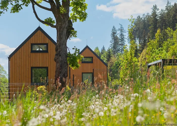 Sovanova W Gorach Sowich Z Tarasem I Widokiem Holiday home