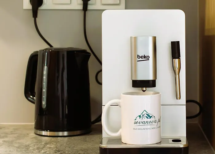 Sovanova W Gorach Sowich Z Tarasem I Widokiem Holiday home *