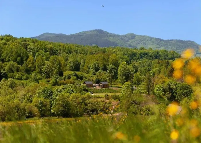 Sovanova W Gorach Sowich Z Tarasem I Widokiem Kolce