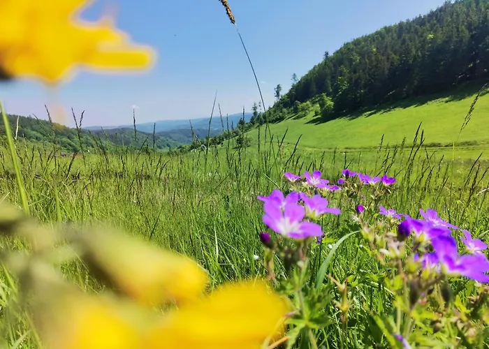 Holiday home Sovanova W Gorach Sowich Z Tarasem I Widokiem