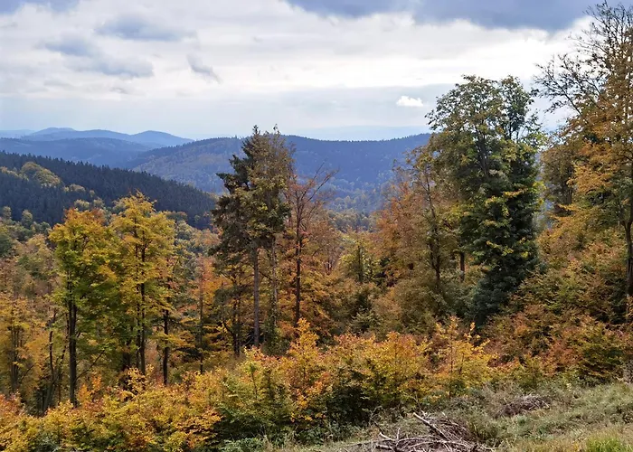 Sovanova W Gorach Sowich Z Tarasem I Widokiem Holiday home Kolce